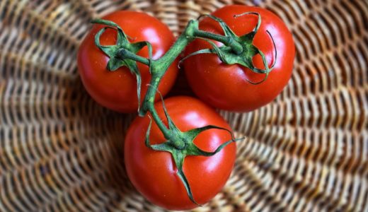 「トマト」を使ったカクテル一覧 & レシピ
